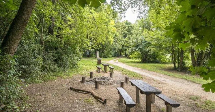 Hűvösvölgyi örökerdő tanösvény