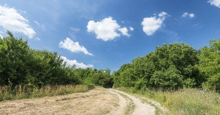 Öreg Tölgy erdei tanösvény Telki