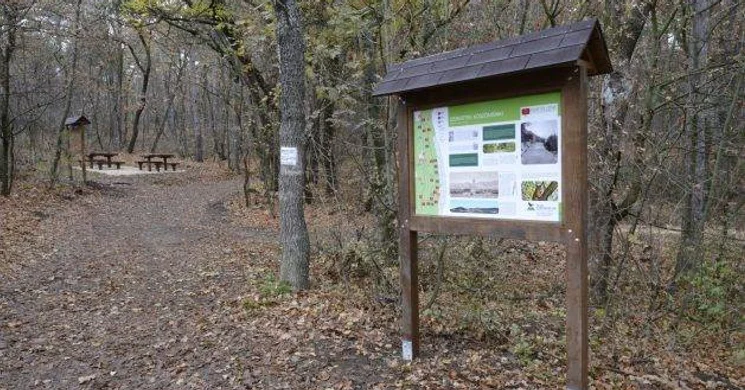 Hármashatár-hegyi kirándulás a Guckler Károly tanösvényen
