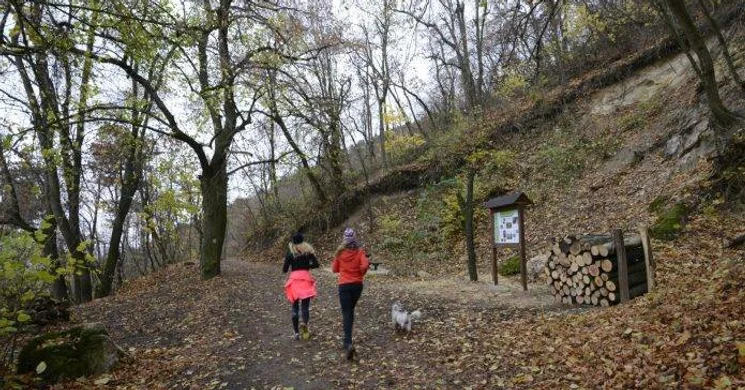 Guckler Károly Tanösvény