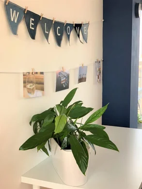 Patent Budapest - workshop helyszín & coach szoba