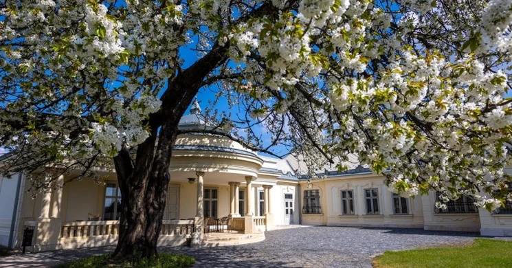 Kápolnásnyék koncertek 2025. Online jegyvásárlás