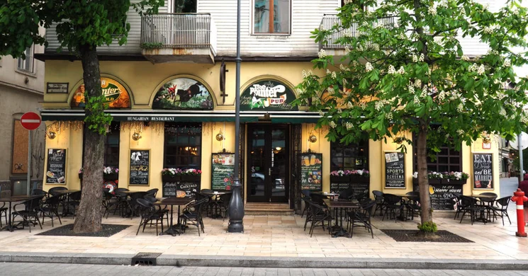 Pointer Pup Kecskeméti utca