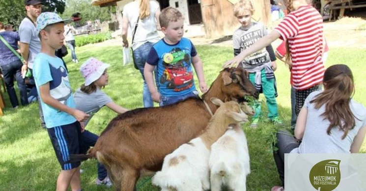Állati sokadalom a Göcseji Falumúzeumban Zalaegerszeg