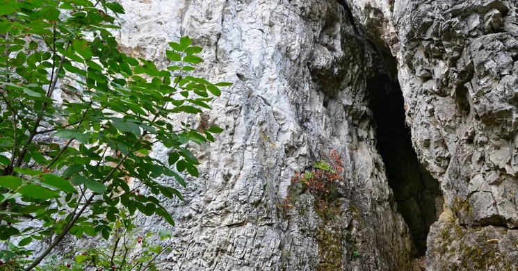 Csákvári Báraczházi-barlang