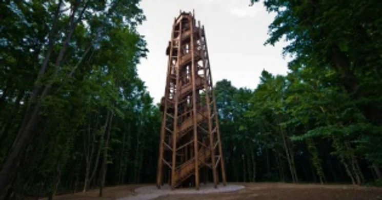 Kardosfai-kilátó Zselickisfalud