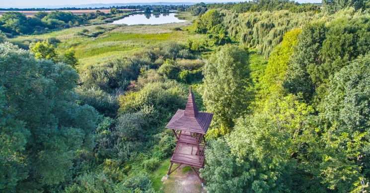 Töreki tavak tanösvény, gyalogtúra a Siófok - Töreki természetvédelmi tanösvényen