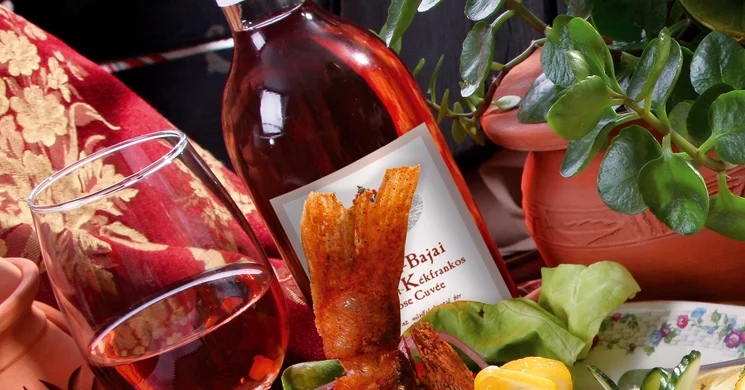 Sobri Halászcsárda és Panzió Baja