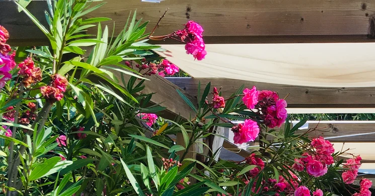 Spiegelberg Borpince és Borterasz