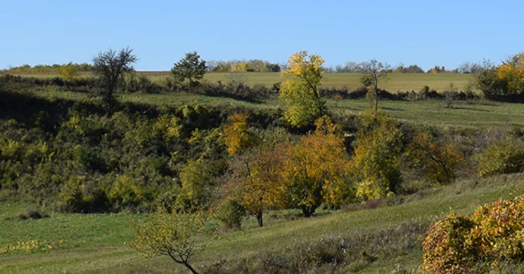 Kapos-hegyháti Natúrpark