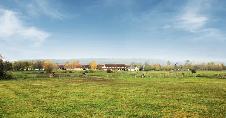 Der Reithof - Szentmihálypusztai Lovastanya Zalaszentlászló