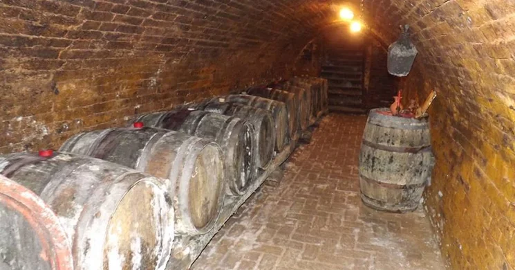 Vince-nap Siklós 2026. Vince-napi nyitott birtok