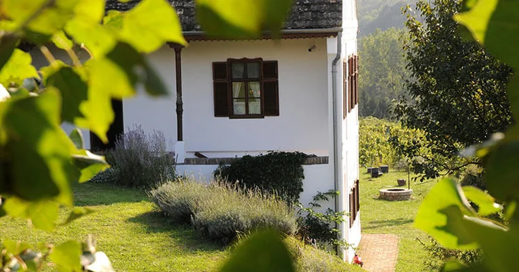 Matievics Borászat és Vendégház Szálka