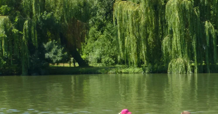 Szarvasi Kajak-Kenu Vízisport és Szabadidő Club