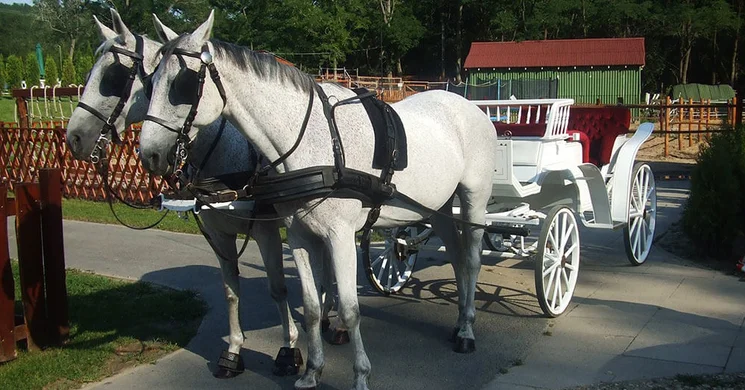 Szellő Lovastanya Domonyvölgy