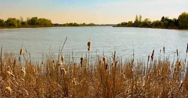 Szigethalom programok 2025. Események, rendezvények