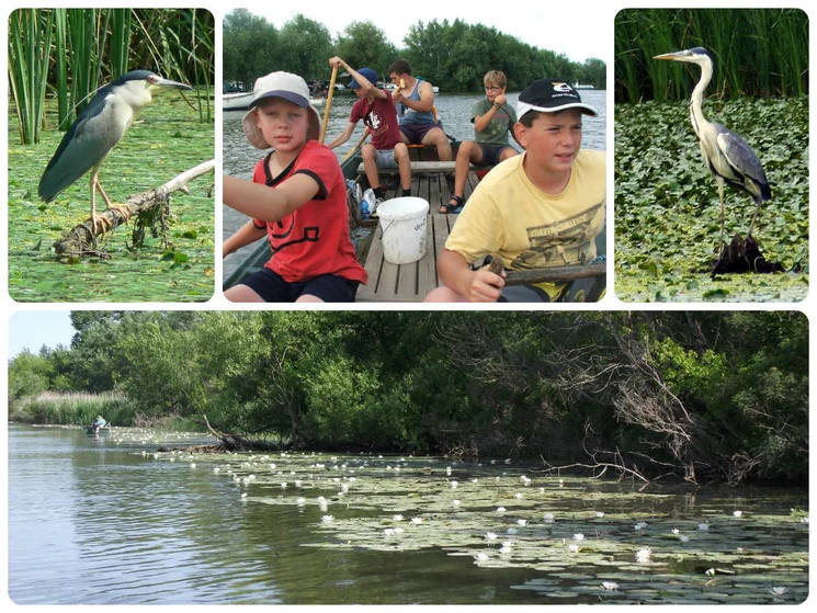 Tisza-tó bemutatása, látogatás a Tisza-tavi Ökocentrumban Poroszlón