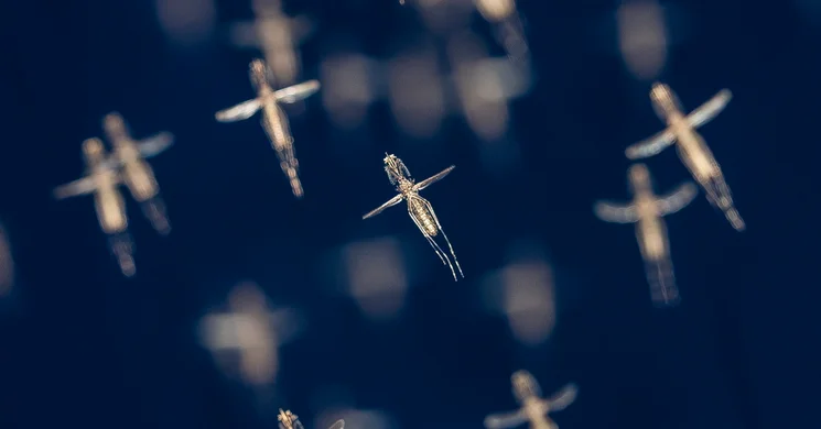 Tisza-tavi Ökocentrum kiállítás 2025 Poroszló