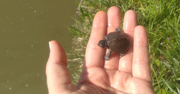 Tiszakécske és Környéke Sporthorgász Egyesület