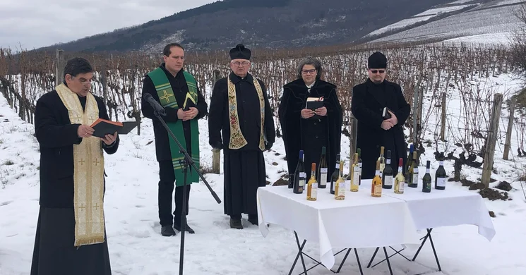 Vince-nap Tokaj 2025. Szőlő- és borszentelés