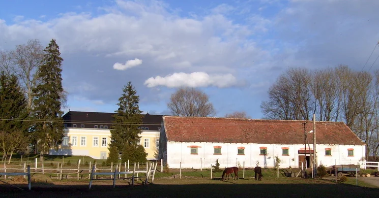 Toledo Lovas Egyesület Nagykanizsa