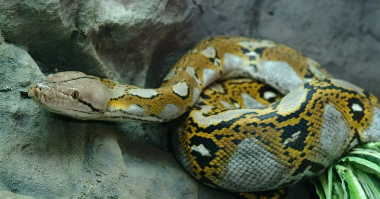 Biológia óra, játékos interaktív oktatás gyerekeknek a Tropicariumban Budapesten