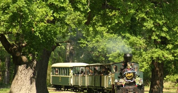 Gemenci Kisvasút programok 2026