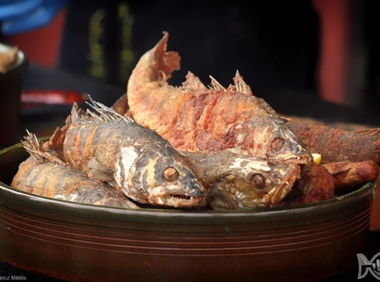 Fehérvári Halünnep 2026 Székesfehérvár