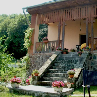 Villa Panorama Artist Dömös