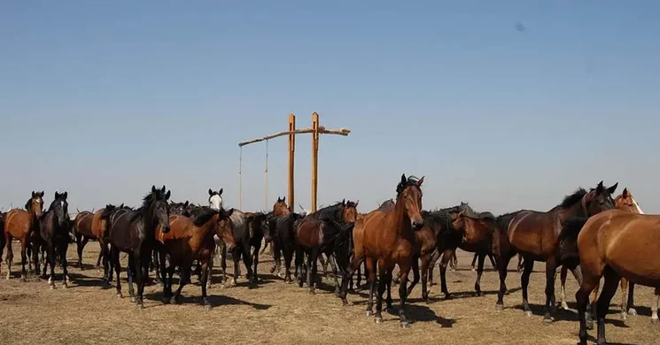 Hortobágyi Lovasnapok 2026