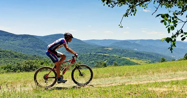Visegrád túra, fedezze fel a környéket gyalogosan, kerékpárral vagy lóháton!