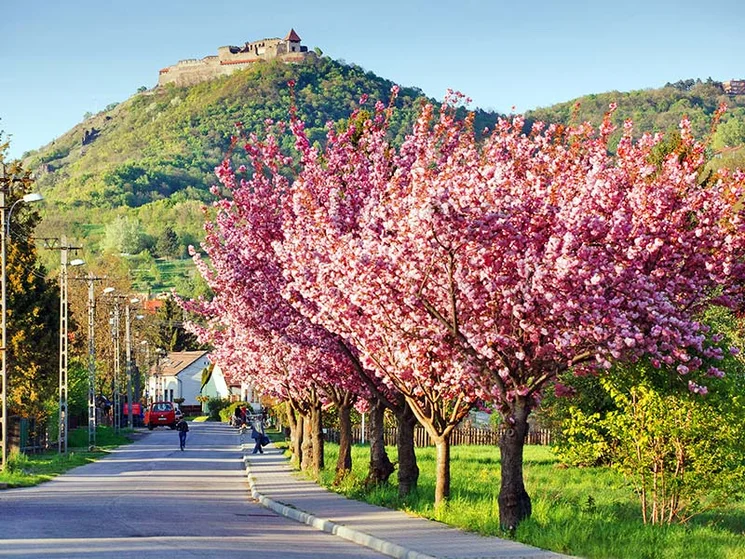 Visegrádi Gyereknap 2026. Programgazdag hétvége az egész családnak