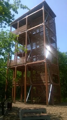 Algyői kilátó, erdei pihenőhely