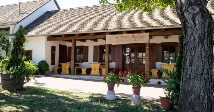 Blum Pince - Borozó Vendégház