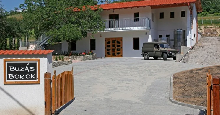 Buzás Szőlőbirtok Kötcse