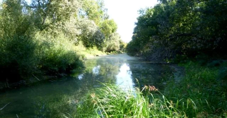 Magyar Nemzeti Parkok Hete programok a Duna-Dráva Nemzeti Parkban 2025