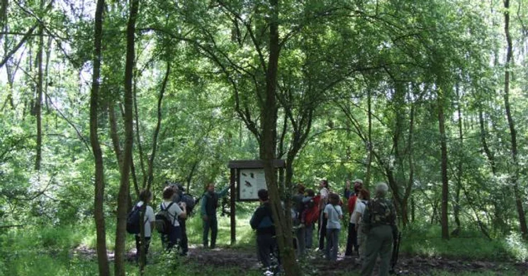 Nyéki-Holt-Duna tanösvény, kirándulás a fokozottan védett gemenci tanösvényen