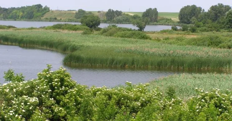 Túra a Pacsmagi-tavak természetvédelmi területen a Duna-Dráva Nemzeti Park szervezésében