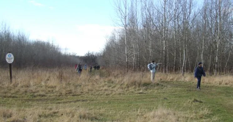 Nagypartosi tanösvény Kölked, ökotúra az Alsó-Duna völgyében
