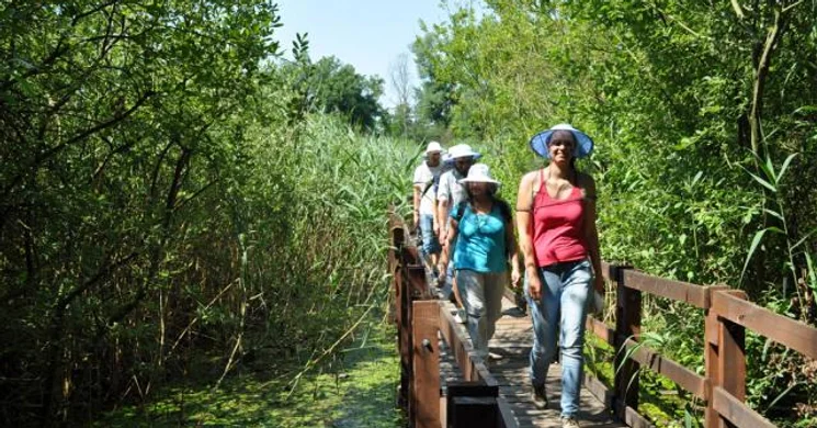 Ős-Dráva tanösvény Szaporcán, kirándulás a Duna-Dráva Nemzeti Parkban