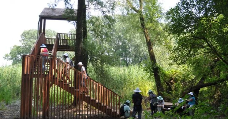 A Dráva élővilága tanösvény, változatos és különleges élővilág a Dráva mellett