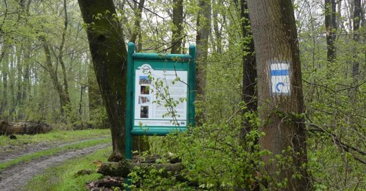 Bárányfoki tanösvény, ökotúra a Gemenci erdőkben