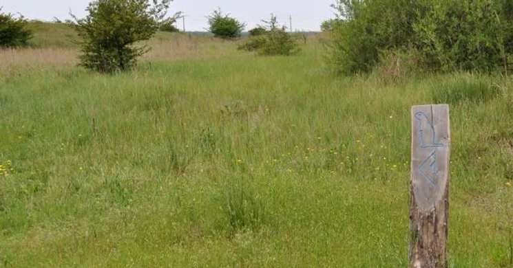 Ürge-mező tanösvény túra Paks környékén a Duna-Dráva Nemzeti Park szervezésében