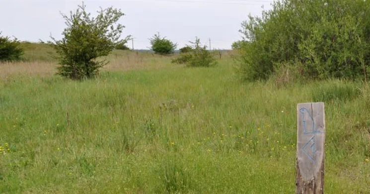 Paksi Ürge-mező tanösvény, ökotúra a Duna-Dráva Nemzeti Parkban
