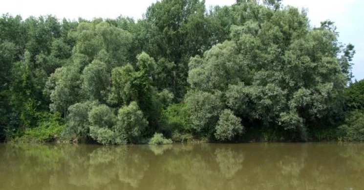 Kormorános-erdő tanösvény, ökotúra a Dráva-völgyében, a Duna-Dráva Nemzeti Parkban