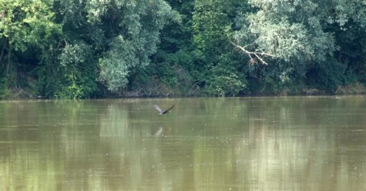 Boros-Dráva tanösvény