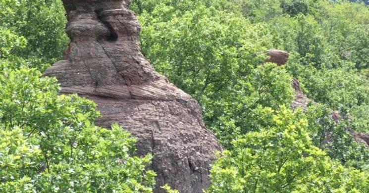 Kövirózsa-tanösvény