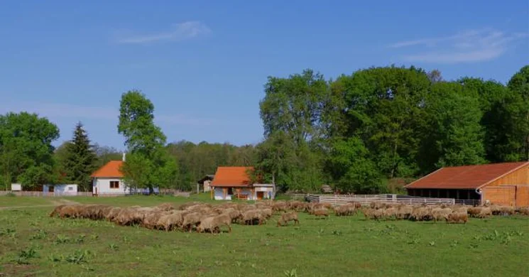 Homokpuszta tanösvény