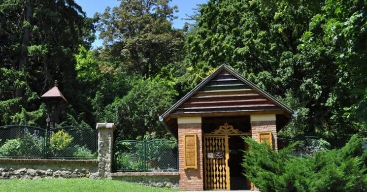 Pécsi Pintér-kert Arborétum programok 2025