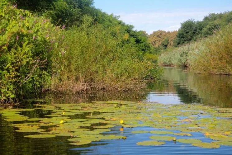 Vízitúra 2025. Evezős túrák, vízitúra programok a Duna-Dráva Nemzeti Park szervezésében